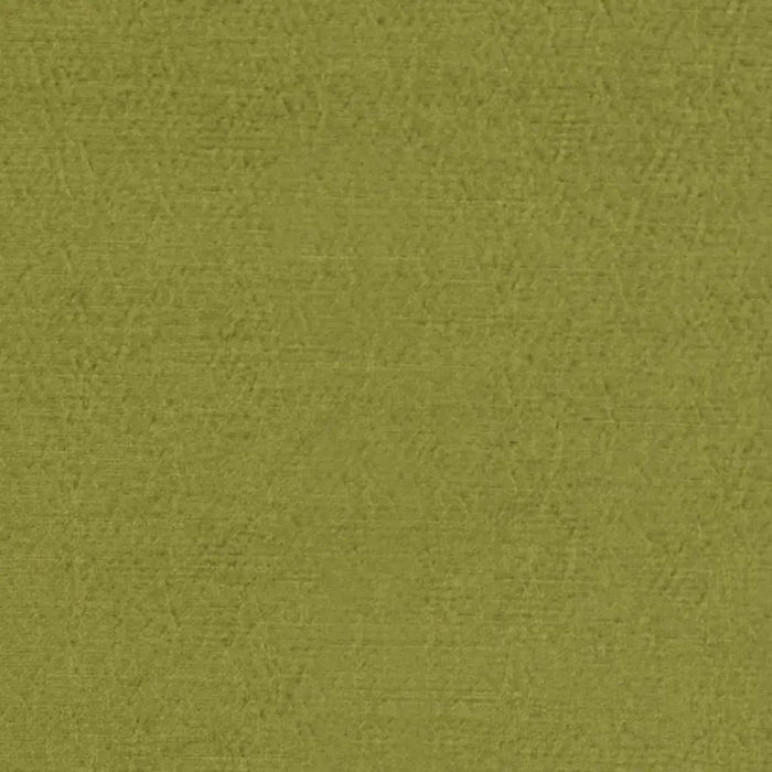 Designers Guild Anshu 41 Sample Sample FDG2896-41