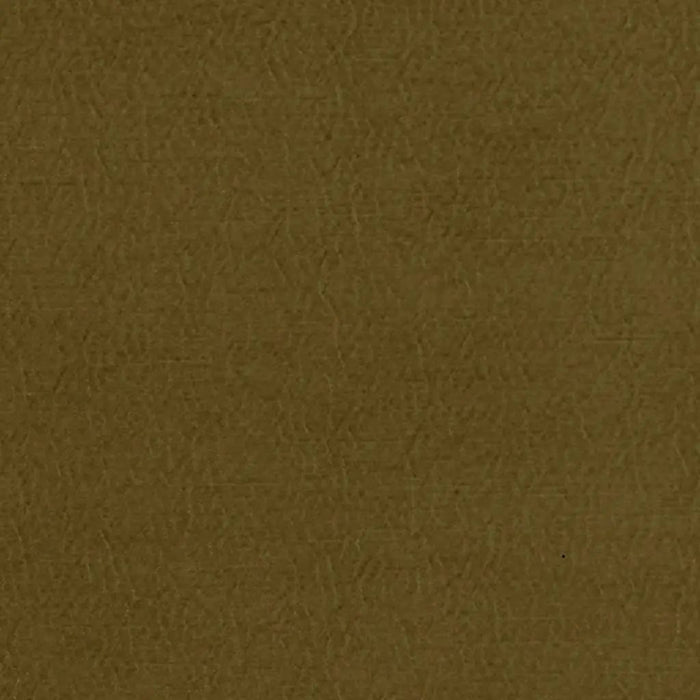Designers Guild Anshu 39 Sample Sample FDG2896-39