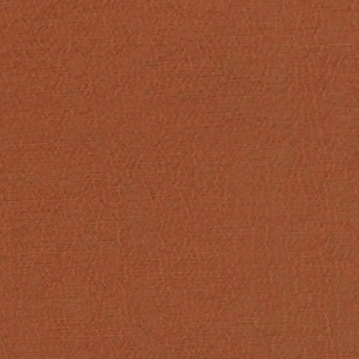Designers Guild Anshu 36 Sample Sample FDG2896-36