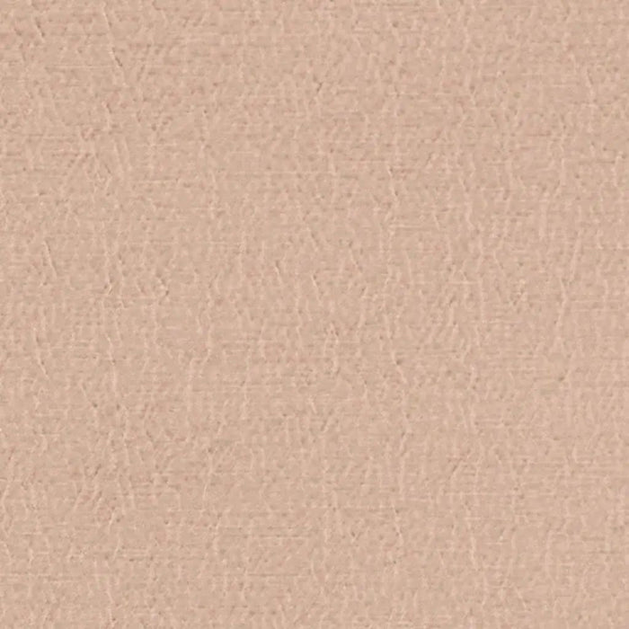 Designers Guild Anshu 32 Sample Sample FDG2896-32