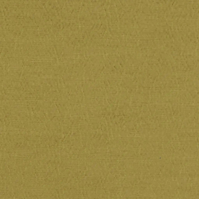 Designers Guild Anshu 38 Sample Sample FDG2896-38