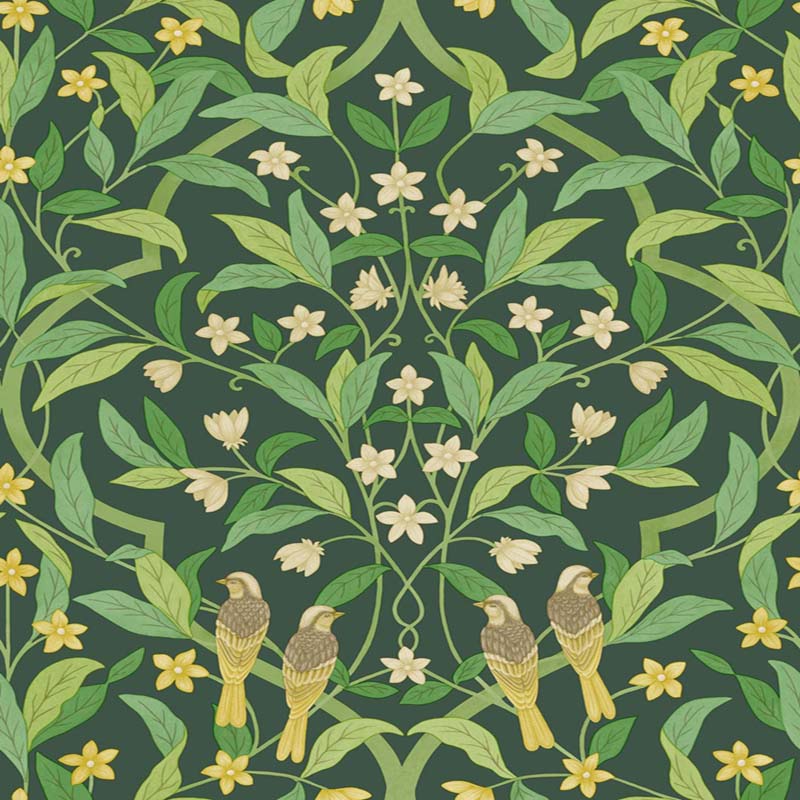 Cole & Son Jasmine & Serin Symphony Yellow/Grn/Forest Wallpaper Sample 117/10029.CS.0