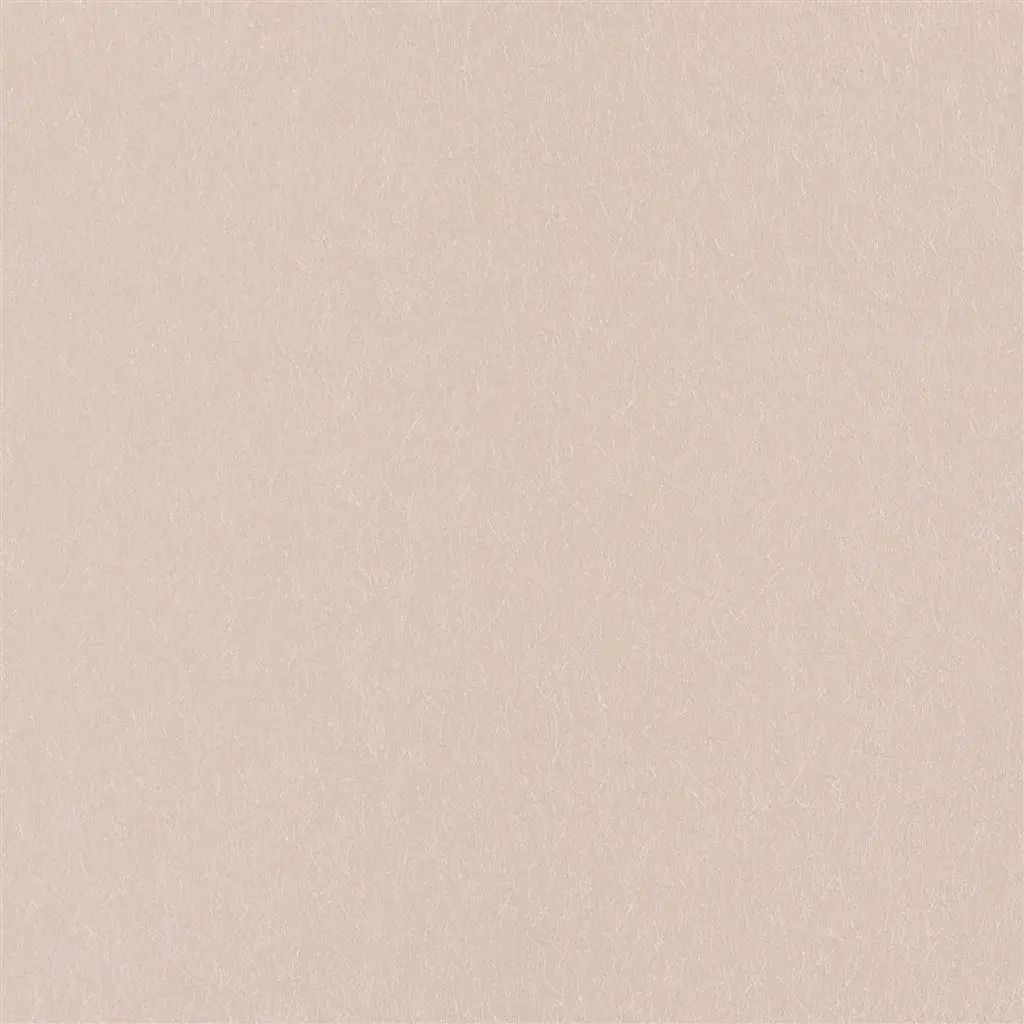 Designers Guild Ernani  67 Sample Sample P502-67