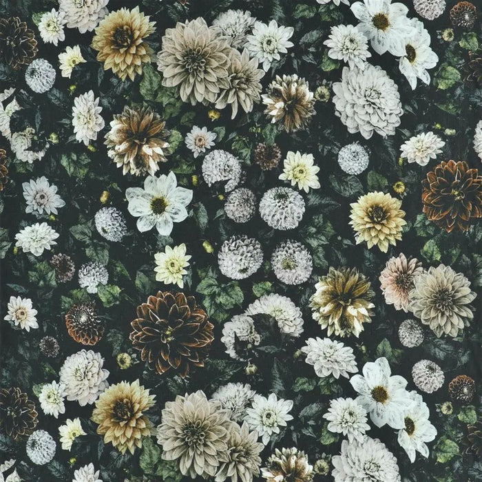 Designers Guild Dahlia Noir 1 Sample Sample FDG2931-01