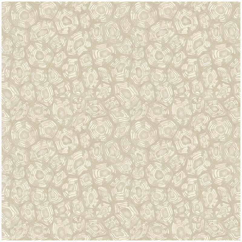 Cole & Son Savanna Shell Parchment Wallpaper Sample 119/4021.CS.0