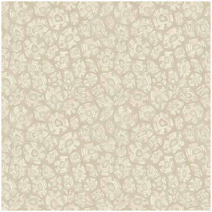 Cole & Son Savanna Shell Parchment Wallpaper Sample 119/4021.CS.0