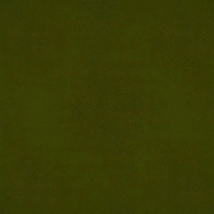 Designers Guild Velluto Stretto 29 Sample Sample FDG2704-29