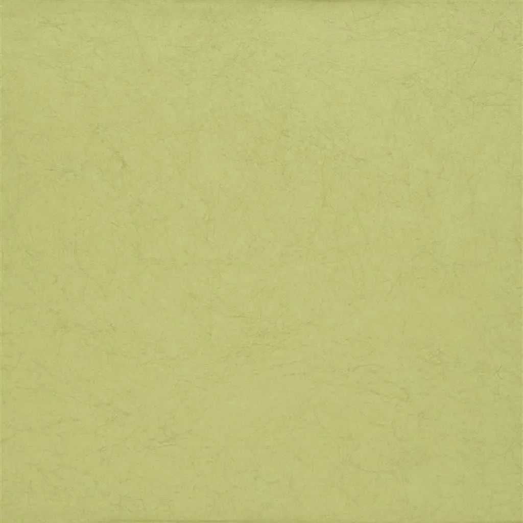 Designers Guild Ernani  55 Sample Sample P502-55