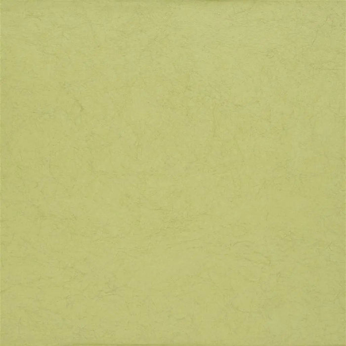 Designers Guild Ernani  55 Sample Sample P502-55