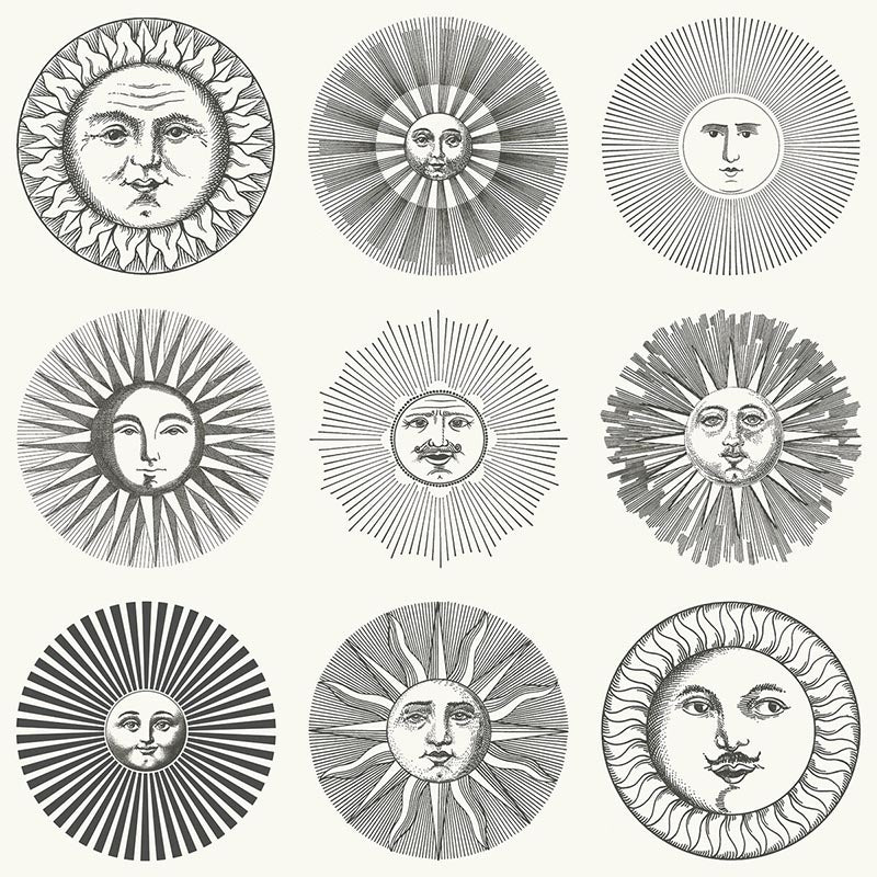 Cole & Son Soli Black & White Wallpaper Sample 123/1001.CS.0
