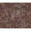 Cole & Son Foglie E Civette Autumnal Wallpaper 123/11055.CS.0