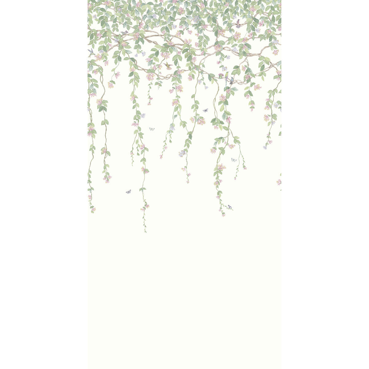Cole & Son Hummingbirds Flora Blush Wallpaper Sample 124/2008.CS.0