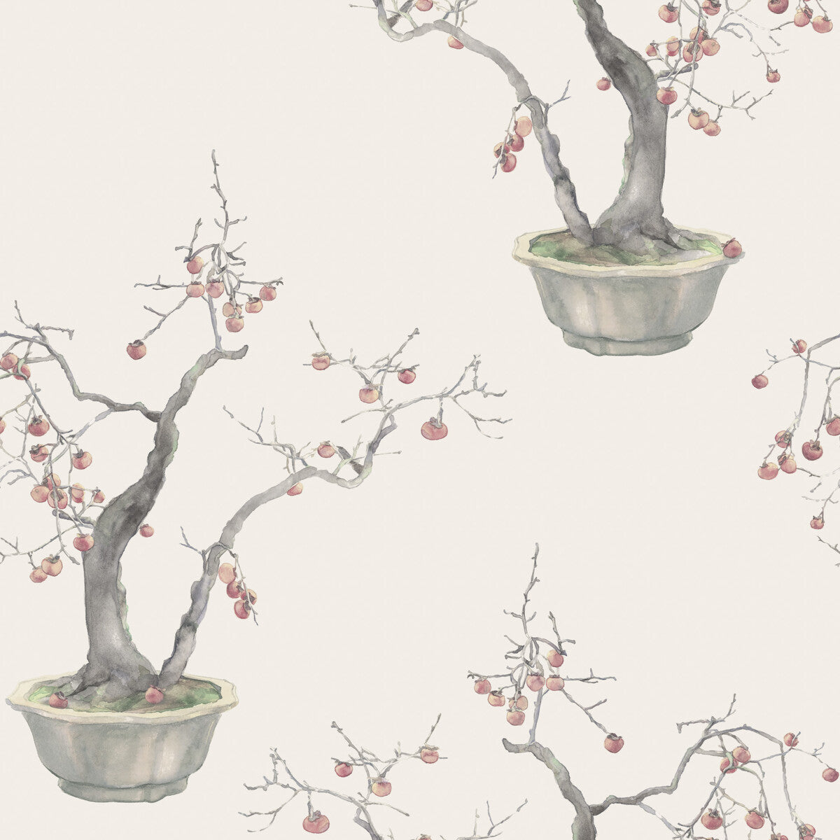 Cole & Son Kaki Persimmon Silver Wallpaper 126/2004.CS.0