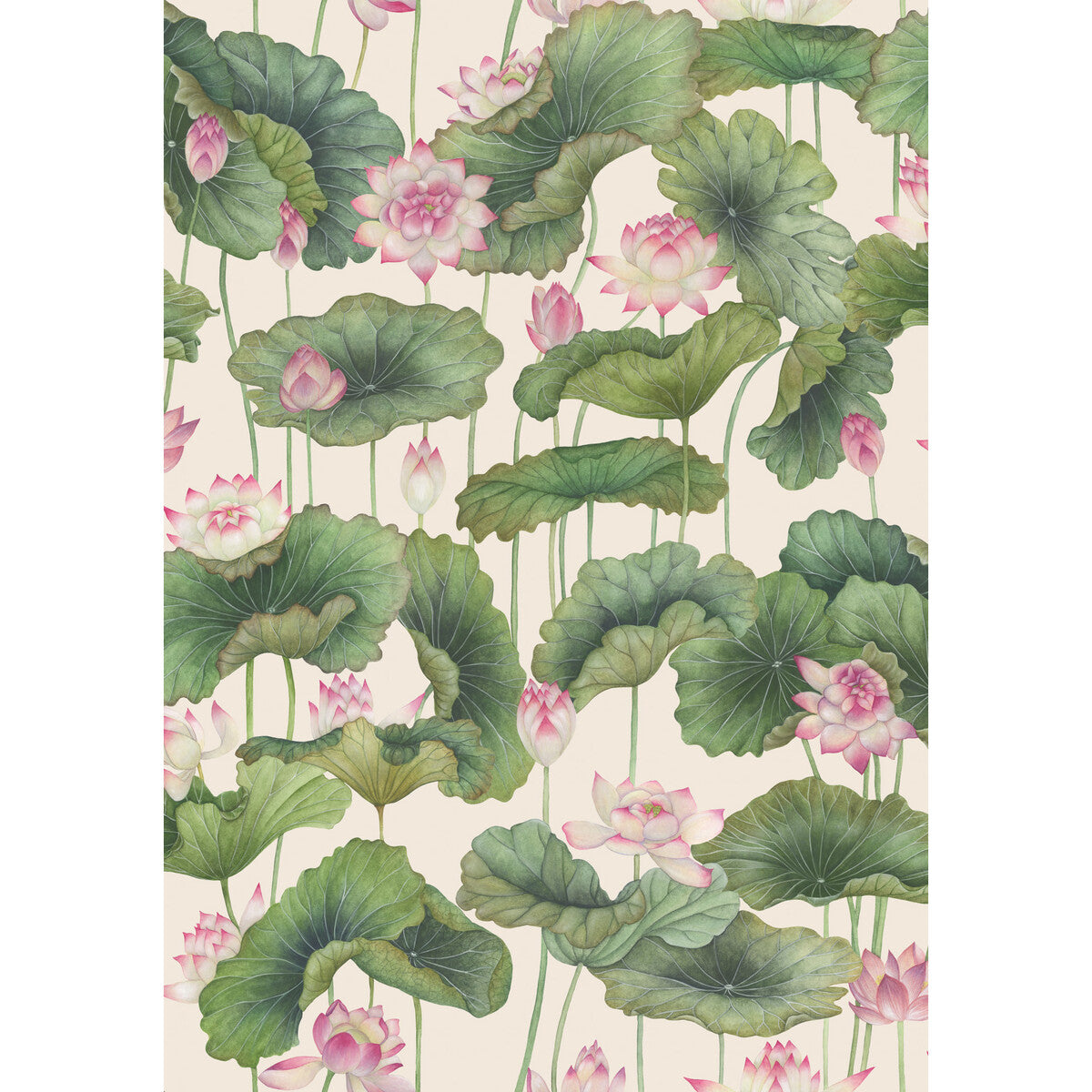 Cole & Son Lily Lotus Pink Wallpaper 126/9031.CS.0