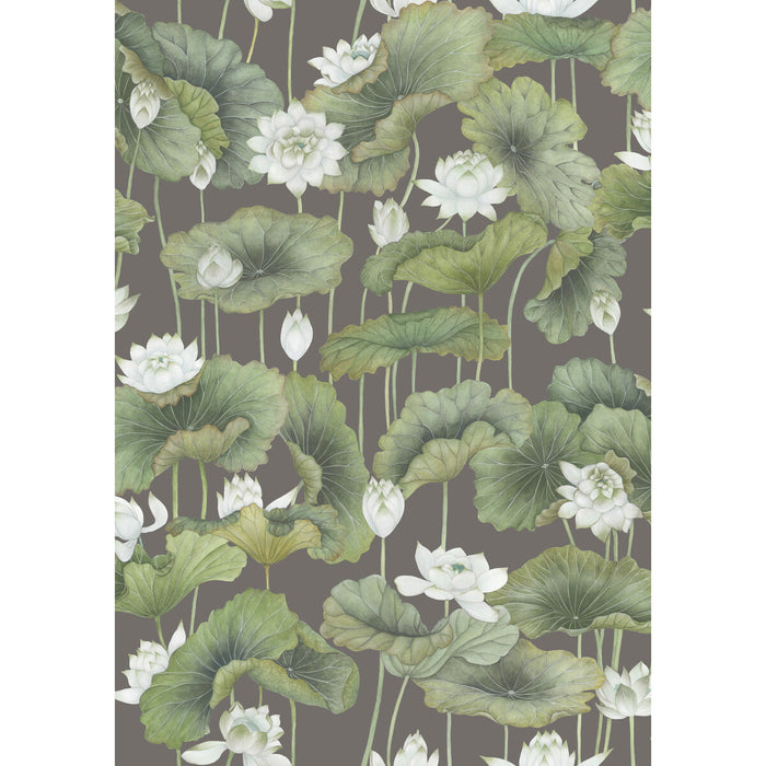 Cole & Son Lily Lotus White/Charcoal Wallpaper Sample 126/9033.CS.0