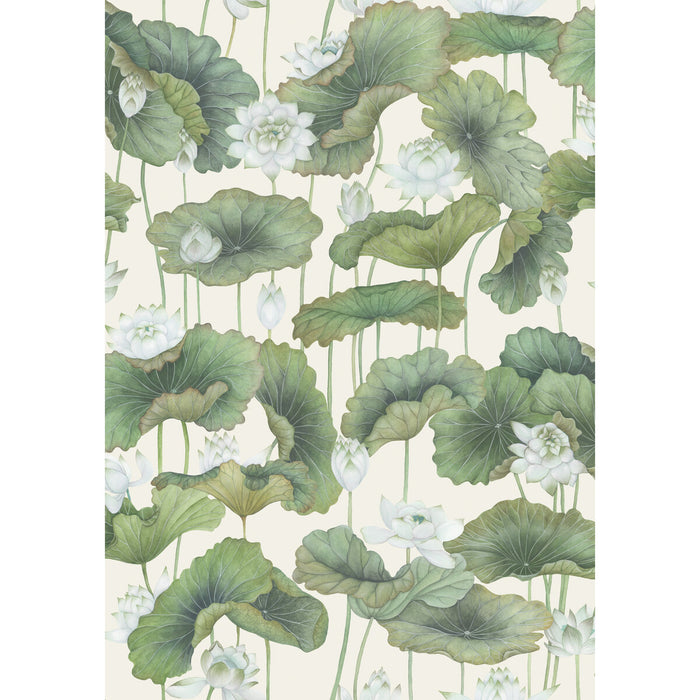 Cole & Son Lily Lotus White/Cream Wallpaper Sample 126/9034.CS.0