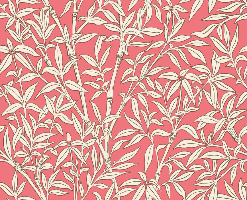 Cole & Son Bamboo Forest Chalk/Rouge Wallpaper Sample 127/1001.CS.0