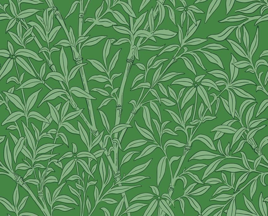 Cole & Son Bamboo Forest Emerald Wallpaper Sample 127/1004.CS.0