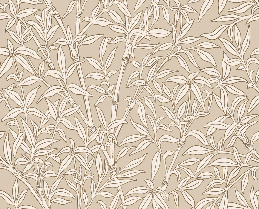 Cole & Son Bamboo Forest Oat Wallpaper Sample 127/1005.CS.0