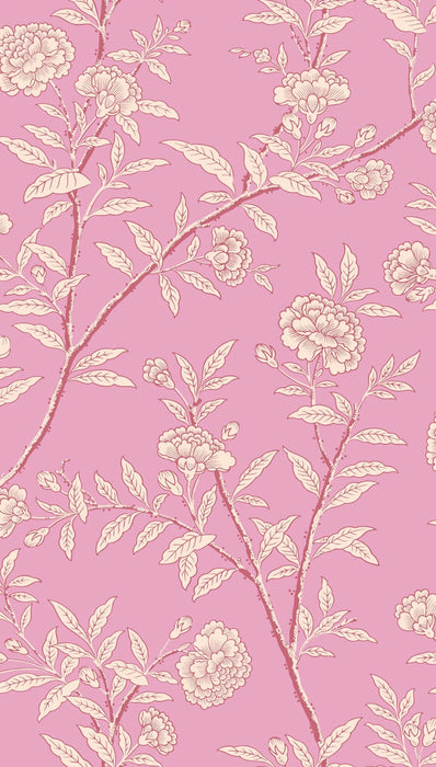 Cole & Son Roseberry Fuchsia Wallpaper Sample 127/3017.CS.0