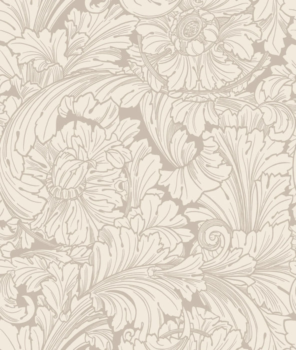 Cole & Son Acanthus Cream/Pebble Wallpaper Sample 127/6029.CS.0