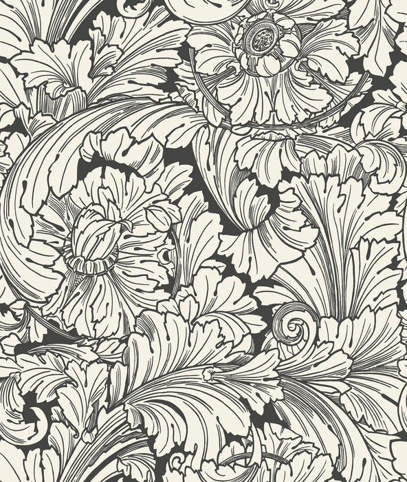 Cole & Son Acanthus Soot/Snow Wallpaper Sample 127/6032.CS.0