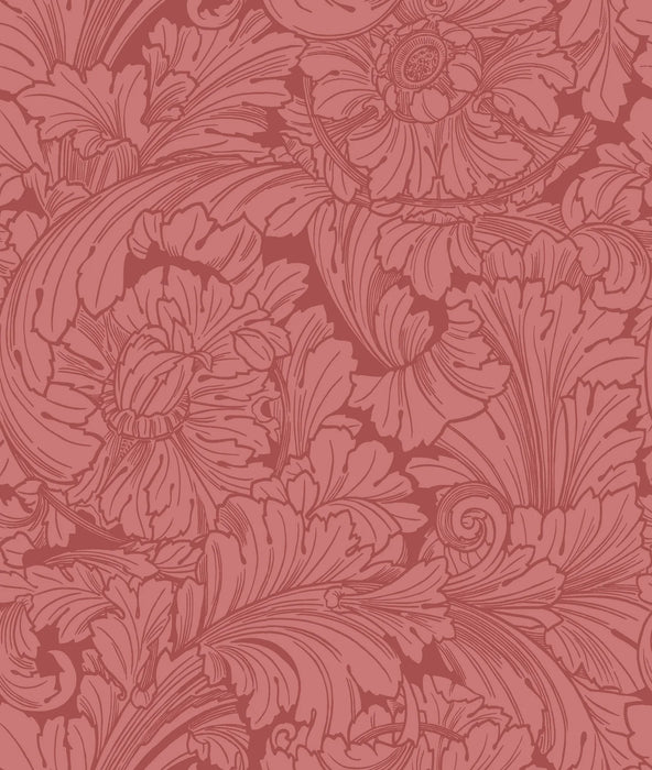 Cole & Son Acanthus Stately Home Red Wallpaper Sample 127/6033.CS.0