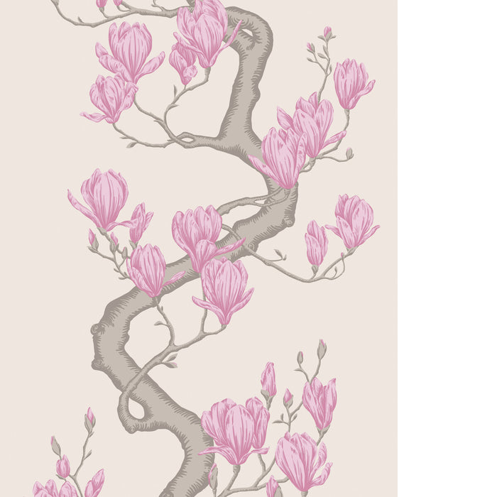 Cole & Son Magnolia Tree Parchment Wallpaper Sample 128/1002.CS.0