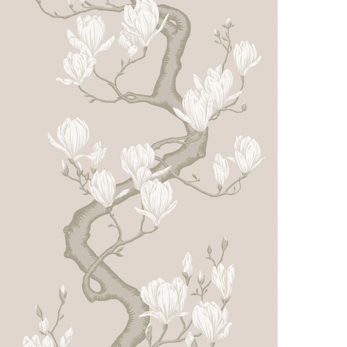 Cole & Son Magnolia Tree Soft Cream Wallpaper 128/1003.CS.0