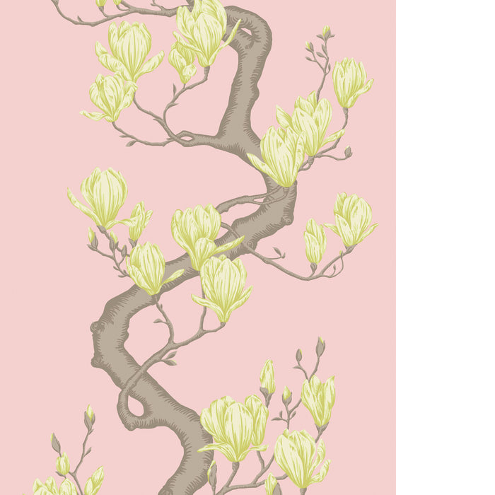 Cole & Son Magnolia Tree Rose Pink Wallpaper Sample 128/1005.CS.0