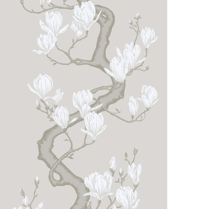Cole & Son Magnolia Tree Non Slub Wallpaper Sample 128/1008S.CS.0