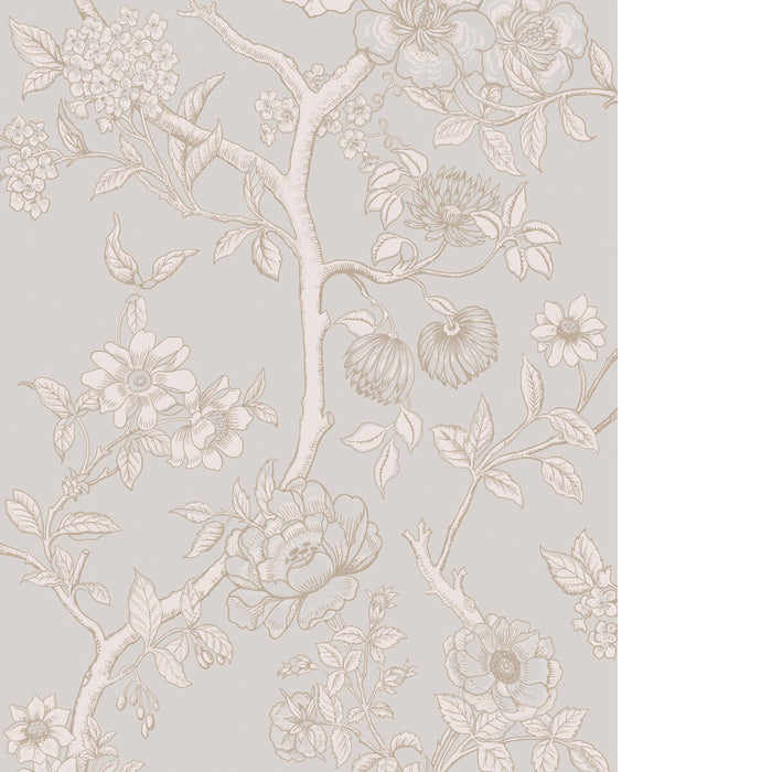 Cole & Son Paradise Tree Dove Grey Wallpaper 128/2007.CS.0
