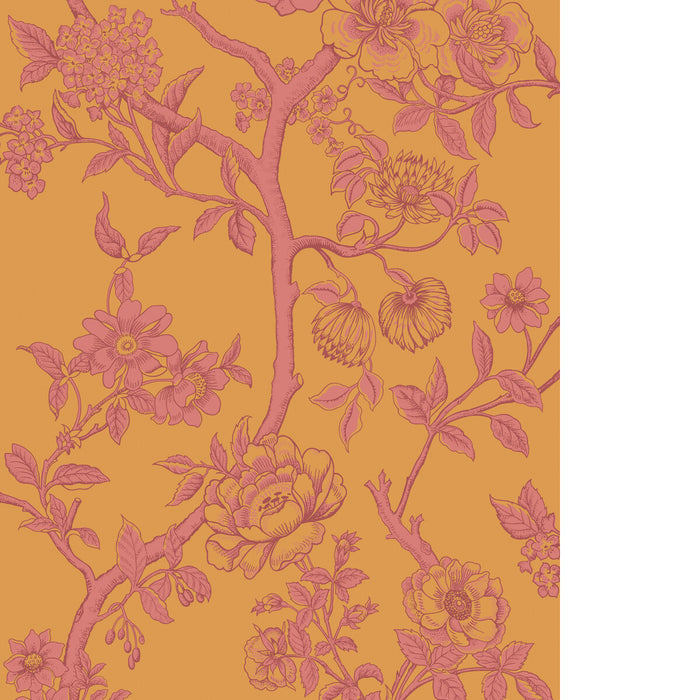 Cole & Son Paradise Tree Tangerine Wallpaper Sample 128/2011.CS.0