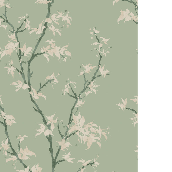 Cole & Son Chinese Branch Sage Wallpaper 128/3014.CS.0