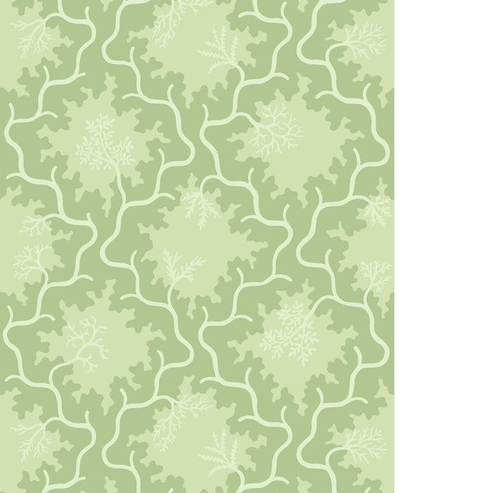 Cole & Son Moss Trellis Matcha Wallpaper Sample 128/4022.CS.0