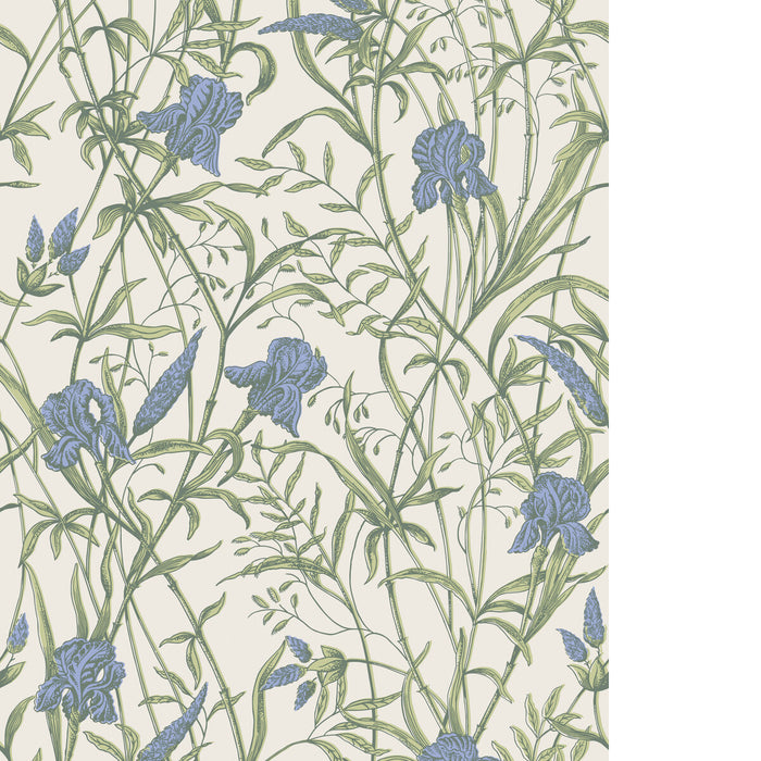 Cole & Son Iris Iris Blue On Stone Wallpaper 128/5023.CS.0