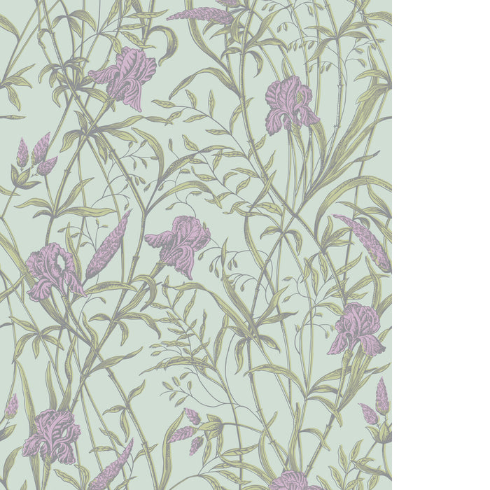 Cole & Son Iris Lavender On Duck Egg Wallpaper 128/5024.CS.0