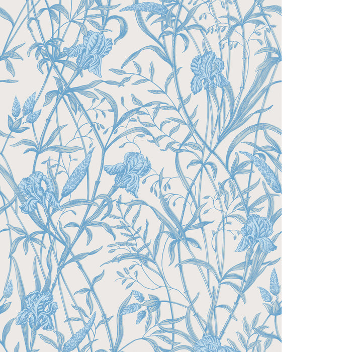 Cole & Son Iris Soft Cerulean Wallpaper 128/5026.CS.0