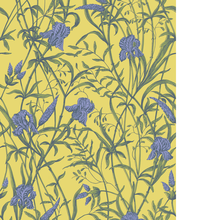 Cole & Son Iris Violet On Citrine Wallpaper Sample 128/5027.CS.0
