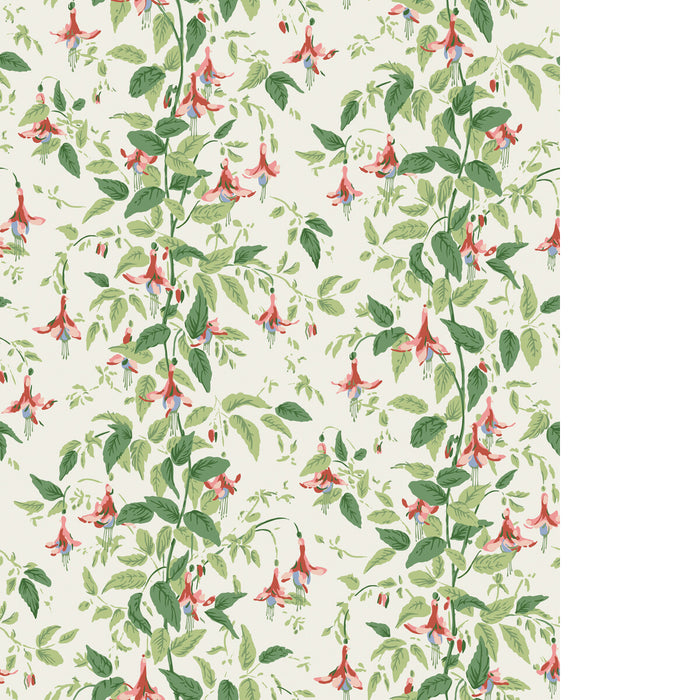 Cole & Son Fuschia Rose Pink Wallpaper Sample 128/6028.CS.0
