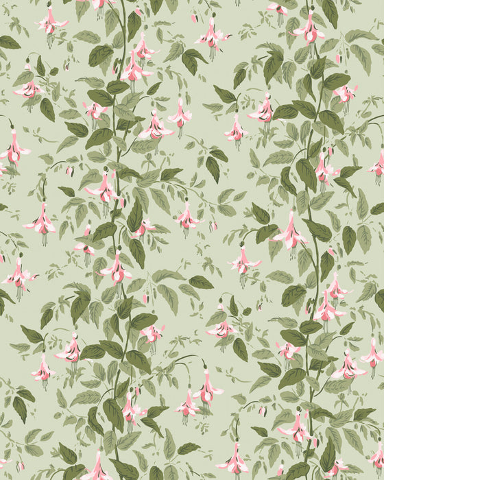 Cole & Son Fuschia Powder Pink Wallpaper 128/6032.CS.0