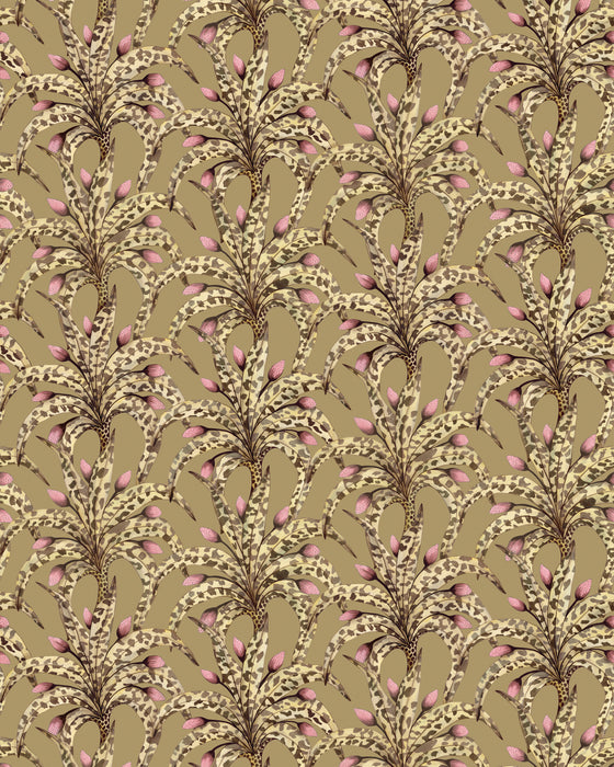 Cole & Son Afrika Damask Safari Wallpaper 129/5020.CS.0