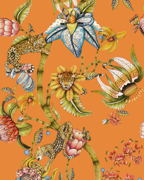 Cole & Son Protea Panthera Clementine Wallpaper 129/6022.CS.0