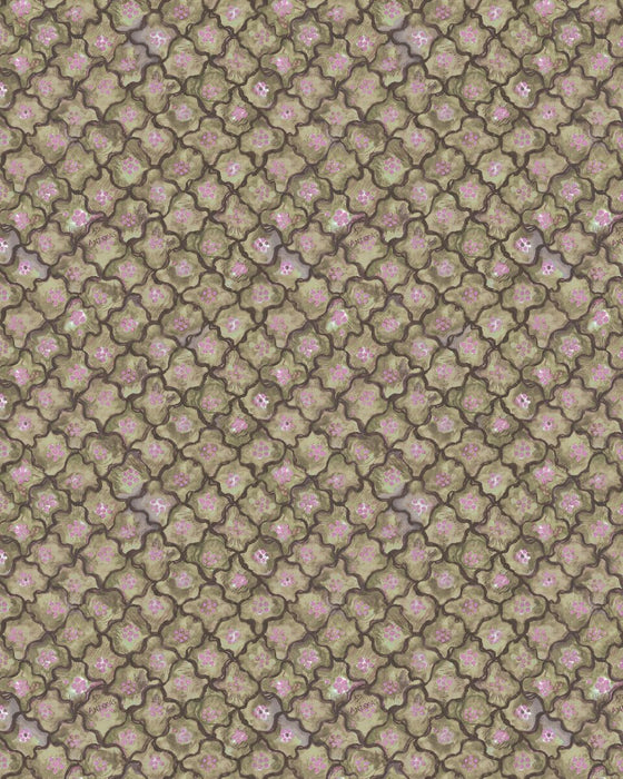 Cole & Son Vivienne Love Andreas Moss Wallpaper Sample 130/6020.CS.0