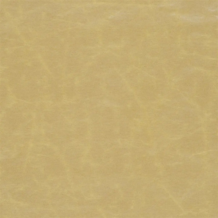 Designers Guild Arizona Gold Fabric Sample F1935-07
