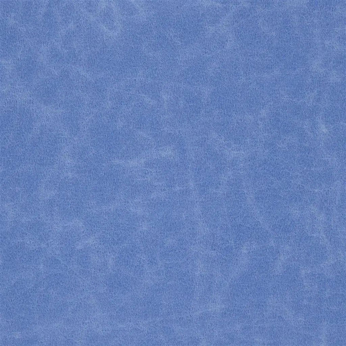 Designers Guild Arizona 16 Sample Sample F1935-16