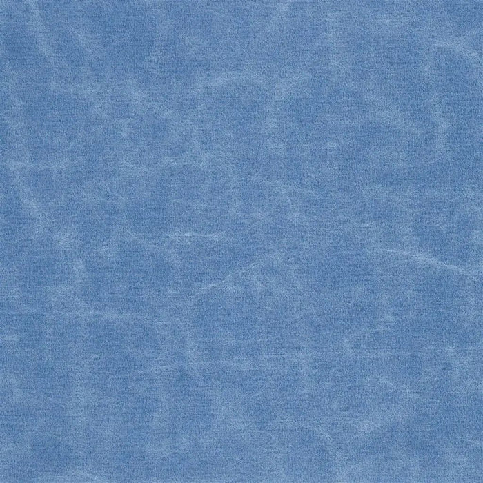Designers Guild Arizona 17 Sample Sample F1935-17
