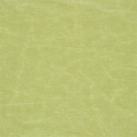 Designers Guild Arizona Moss Fabric F1935-24