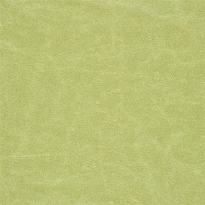 Designers Guild Arizona Moss Fabric Sample F1935-24