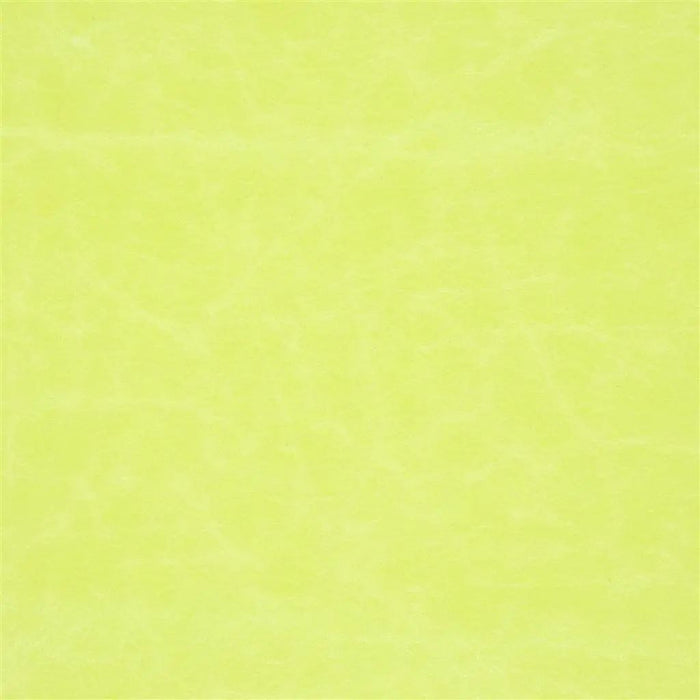 Designers Guild Arizona 25 Sample Sample F1935-25